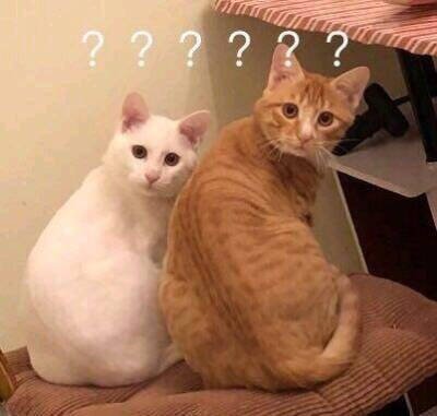 “引导”你会吗？