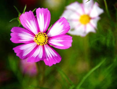 你是雇主喜欢这样的阿姨吗？