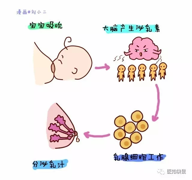 宝宝一哭就喂奶？