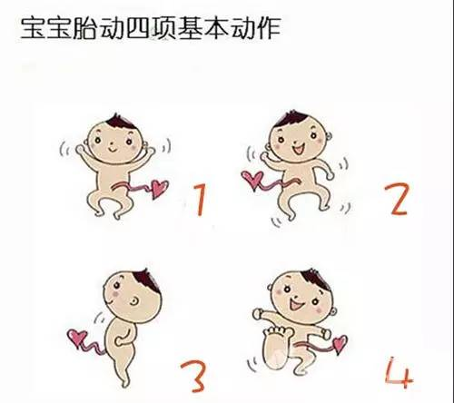 胎动大揭秘,不同孕期的胎动变化