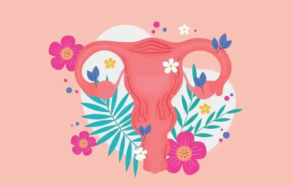 孕妈小知识|怎样保护子宫健康？