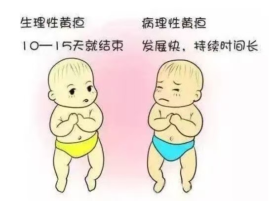 新生儿常见10种生理现象与7大护理要点！月嫂上岗前必读！